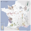 Carte des vins de France de style ancien (2020)