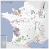 Carte des vins de France de style ancien (2020)